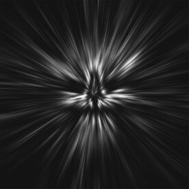 ralphdominoinsitu015_skull015